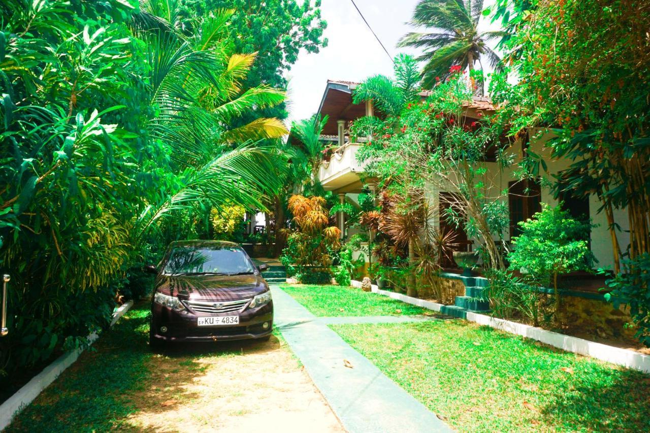 Panorama Rock Cafe Bed & Breakfast Tangalle Exterior photo